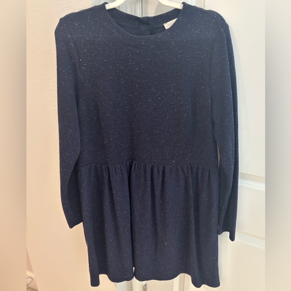 Loft Navy Sweated Dress